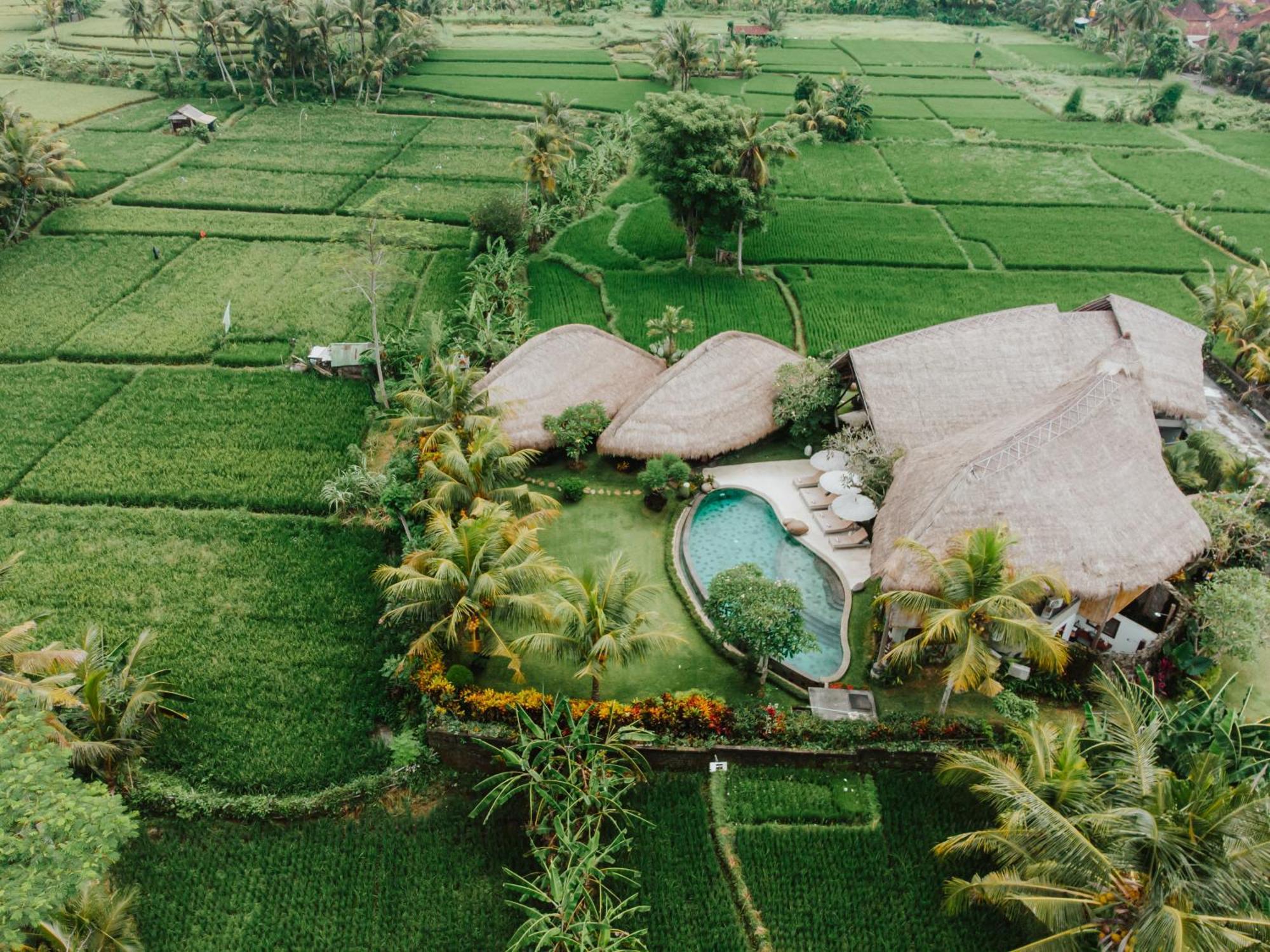Villa Omah Padi Ubud Esterno foto