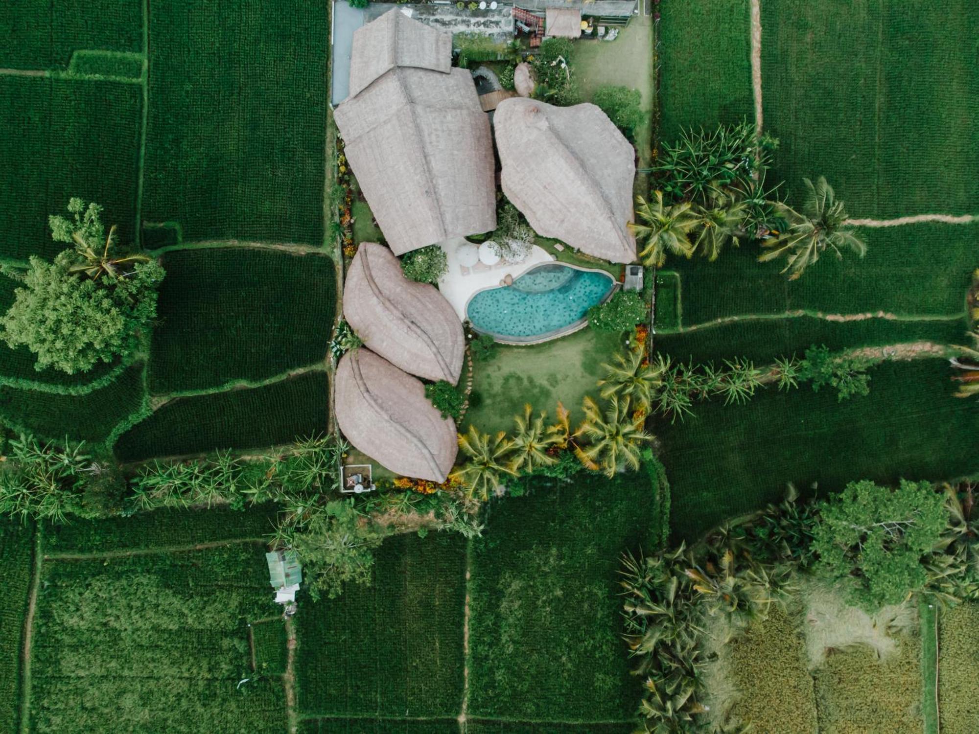 Villa Omah Padi Ubud Esterno foto